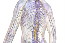 Omurga Daralması Belirtileri ve Tedavisi